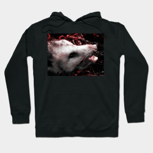 Possum King Hoodie